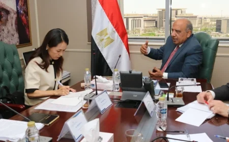 وزير الكهرباء يبحث مع "جايكا" اليابانية تحديث شبكة نقل الطاقة والوصول بنسبة المحروقات المتجددة لـ 45% بحلول 2028