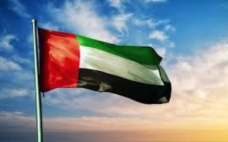 الطاقة المتجددة تعزز خطط كهرباء الإمارات لخفض الانبعاثات 46% بحلول 2035