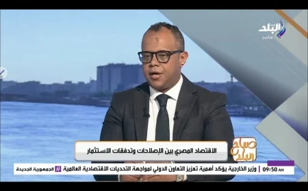 خبير اقتصادي: الاستثمارات الأجنبية المباشرة تدعم النمو الاقتصادي وترفع الناتج المحلي الإجمالي