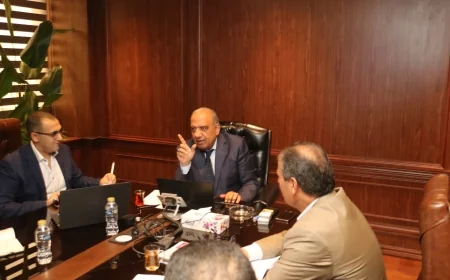 وزير الكهرباء يبحث مع «نكسوس أنالاتيكا» تنظيم سوق الكهرباء وتعزيز الحوكمة وجذب الاستثمارات