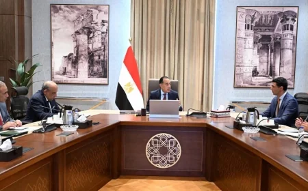 مبادرة تركيب ألواح الطاقة الشمسية تقترب من الإطلاق.. رئيس الوزراء يوجه بعرض الصيغة النهائية على مجلس الوزراء