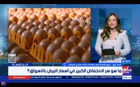 اتحاد منتجي الدواجن: إنتاج البيض يتجاوز الاكتفاء الذاتي بـ40% ويضغط على الأسعار رغم ارتفاع تكلفة الإنتاج