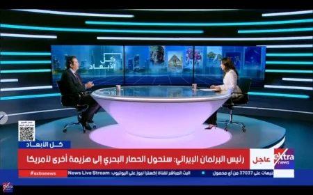 شعبة السيارات: العلامات الصينية ترفع حصتها بالسوق المصرية 60%.. والتجميع المحلي يتفوق على الاستيراد