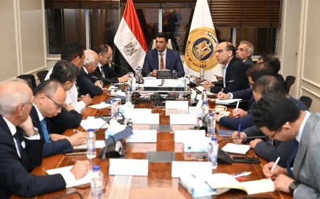 وزير الصناعة يعلن دعم مصر لتوسع الشركة الصينية الوطنية للإطارات والمطاط باستثمارات 550 مليون دولار