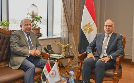 وزيرا الري والكهرباء يبحثان التوسع في استخدام الطاقة الشمسية بمحطات الرفع لدعم التحول الأخضر