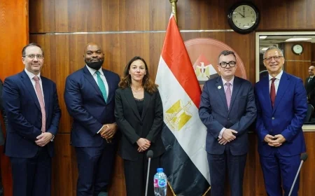 مصر تبحث توسيع التمويلات الخضراء مع مؤسسة الاستثمار البريطانية (BII) لتعزيز التنمية وتوطين التكنولوجيا