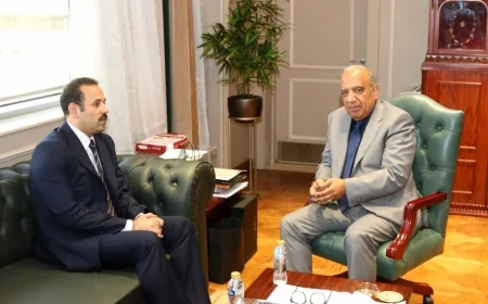 وزير الكهرباء وجهاز مستقبل مصر يبحثان تنفيذ مشروعات طاقة شمسية وبطاريات تخزين بقدرة 2320 ميجاوات لدعم التحول الطاقي