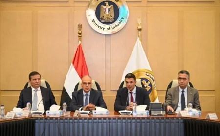 الحكومة المصرية تُشكل لجنة لإدارة البصمة المائية في الصناعات الغذائية لتعزيز الاستدامة