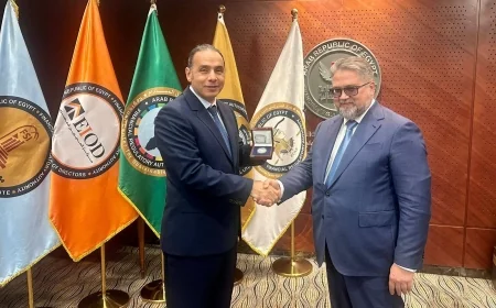 الرقابة المالية تبحث مع نائب محافظ البنك المركزي الروسي تعزيز التعاون في قطاع التأمين