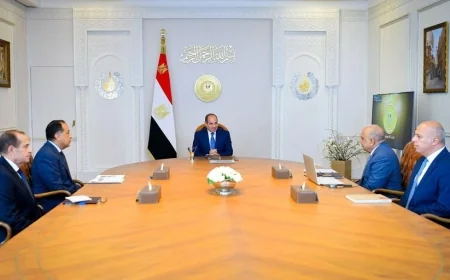 الرئيس السيسي يبحث تطوير الشبكة الكهربائية ومشروعات الطاقة المتجددة