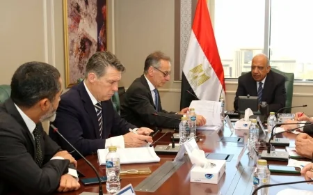 وزير الكهرباء يبحث مع البنك الأوروبي دعم تطوير الشبكة الموحدة والطاقة المتجددة
