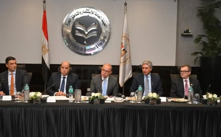استراتيجية الاستثمار الأجنبي في مصر مع البنك الدولي: تحديد القطاعات والسياسات التحفيزية