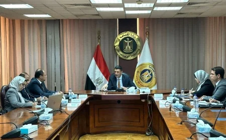 وزير الصناعة يبحث مع هيئة تنمية الصعيد التوسع في إقامة مشروعات صناعية وتدريب العمالة بالصعيد