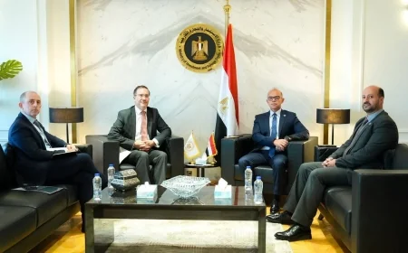 مصر وبريطانيا تبحثان تعزيز تدفقات الاستثمار وتوسيع الشراكات مع مؤسسة الاستثمار البريطانية BII