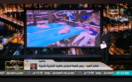 رئيس شعبة الدواجن: الدواجن المصرية آمنة 100% ولا وجود للهرمونات أو المنشطات بالمزارع