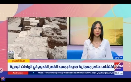 الكشف الأثري الجديد بالواحات يثبت استمرارية العمران لأكثر من 3500 عام ويعزز السياحة الثقافية في مصر