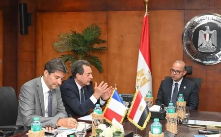 مصر وفرنسا تبحثان تعميق التعاون الاستثماري والتجاري وتعزيز تدفقات الاستثمار الأجنبي المباشر
