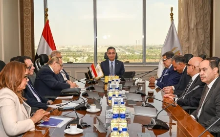 وزير التموين يبحث مع إي فاينانس تنفيذ مشروع “كاري أون ” وتطوير المنافذ التموينية عبر التحول الرقمي