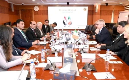وزير الصناعة يبحث مع سفير أيرلندا فرص تعزيز التعاون في الصناعات الدوائية والطاقة المتجددة