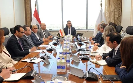 هل يغيّر مشروع «كاري أون» شكل التجارة الداخلية في مصر؟.. شراكة جديدة مع كازيون لتطوير المنافذ