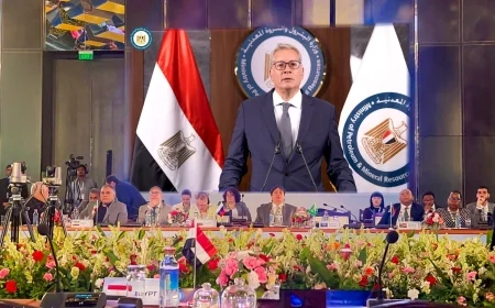 وزير البترول يمثل مصر في اجتماع وزراء الطاقة بدول البريكس ويؤكد أهمية التعاون في الطاقة والتعدين