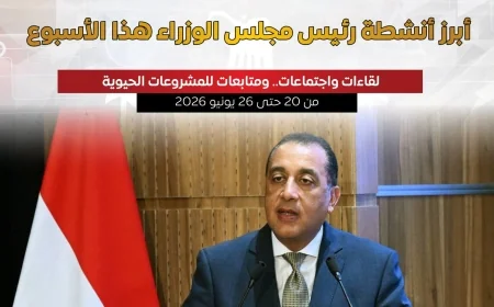 مجلس الوزراء يستعرض أنشطة رئيس الوزراء خلال الأسبوع: طاقة متجددة وتطوير عقاري ودبلوماسي
