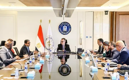 وزير التخطيط يبحث مع «أفريكسيم بنك» دعم الشركات الناشئة وتعزيز الابتكار وريادة الأعمال في مصر