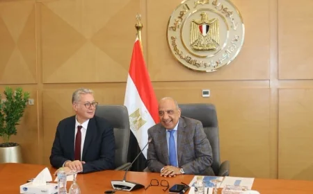 وزارتا الكهرباء والبترول تعلنان خطة تأمين الطاقة لصيف 2026