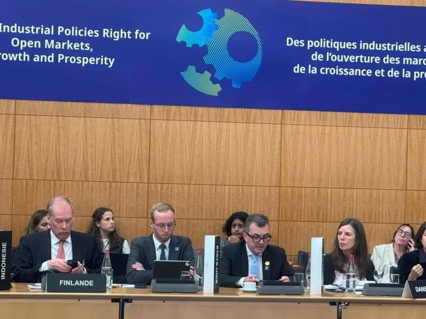وزير التخطيط يستعرض استراتيجيات مصر لتحفيز الاستثمار وحشد التمويلات الخاصة في اجتماع OECD
