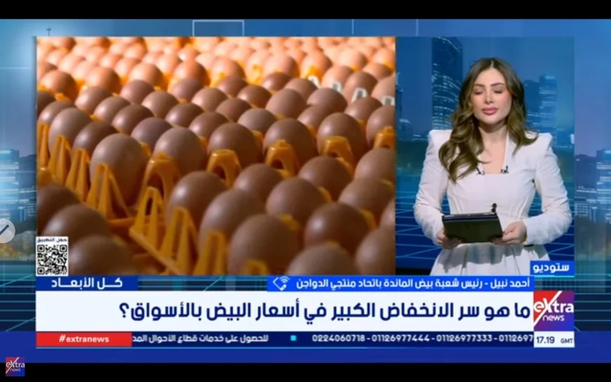 اتحاد منتجي الدواجن: إنتاج البيض يتجاوز الاكتفاء الذاتي بـ40% ويضغط على الأسعار رغم ارتفاع تكلفة الإنتاج