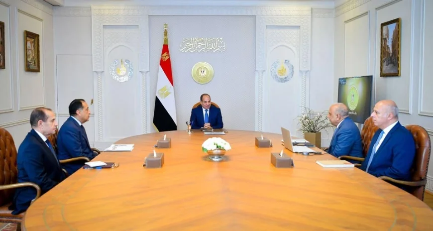الرئيس السيسي يبحث تطوير الشبكة الكهربائية ومشروعات الطاقة المتجددة