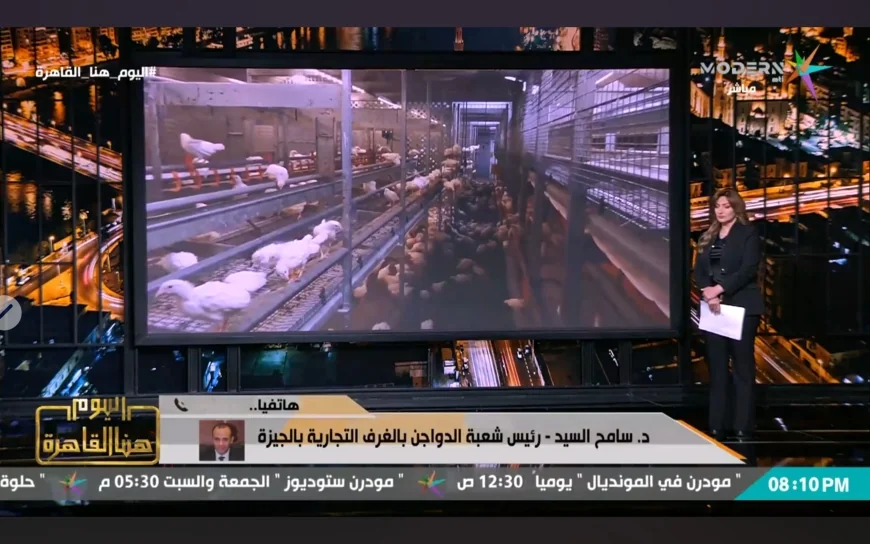 رئيس شعبة الدواجن: جميع محال بيع الطيور الحية تعمل دون تراخيص منذ 2009