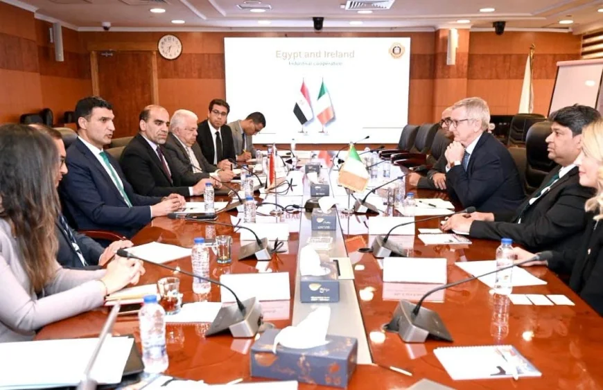 وزير الصناعة يبحث مع سفير أيرلندا فرص تعزيز التعاون في الصناعات الدوائية والطاقة المتجددة
