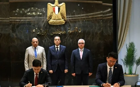 باستثمارات 300 مليون دولار.. مصر توطن صناعة مكونات إطارات السيارات بمشروع صيني جديد في اقتصادية قناة السويس