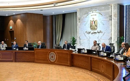 مجلس الوزراء يمنح الرخصة الذهبية لمشروعين باستثمارات 800 مليون دولار.. ويوافق على مصنع منسوجات للتصدير بنسبة 100%