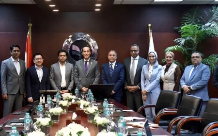 مصر وسنغافورة تبحثان تعزيز التعاون الاستثماري وجذب استثمارات جديدة في الطاقة والتكنولوجيا