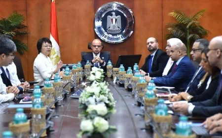 استثمارات صينية بـ20 مليون دولار لإنشاء مصنع لمعدات وخطوط إنتاج السيارات في مصر