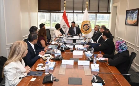 وزير الصناعة يبحث إنشاء مجمع صناعي ذكي للسيارات باستثمارات صينية 20 مليون دولار في مصر