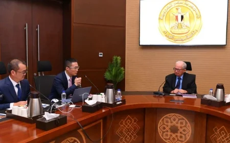 الحكومة تبحث مع هواوي توسعات جديدة في مصر لتعزيز التحول الرقمي وتوطين التكنولوجيا