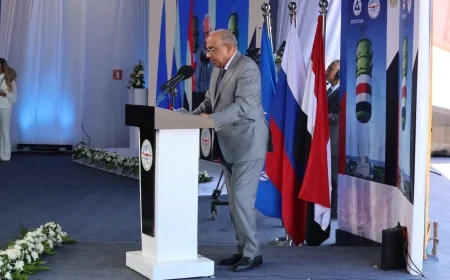 المحطة النووية بالضبعة تتقدم بخطوة جديدة مع تركيب وعاء ضغط المفاعل للوحدة الثانية واستثمارات للكهرباء