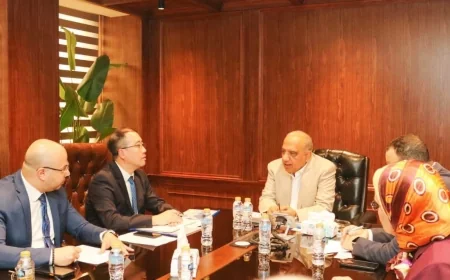 وزير الكهرباء يبحث مع مجموعة CSGI الصينية تطوير الشبكة القومية ودمج الطاقات المتجددة