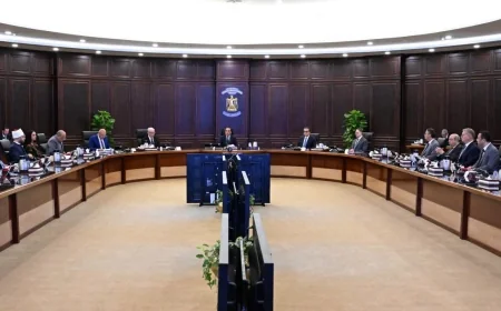 مجلس الوزراء يوافق على 8 قرارات جديدة.. مصنع لـ«السويدي» بالفيوم وتمويل أوروبي لدعم الكهرباء