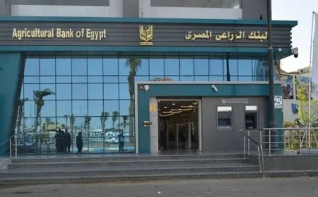 البنك الزراعي المصري يتيح قروضًا شخصية للعاملين بالدولة والقطاعين العام والخاص بشروط ميسرة