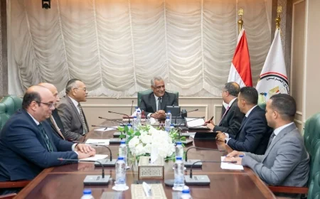 وزارة الإنتاج الحربي تبحث مع تاليس توطين صناعة مكونات أجهزة الاتصالات وتعزيز التصنيع المحلي
