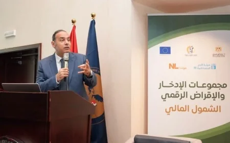 الرقابة المالية: 1.8 مليون سيدة تستفيد من تمويل المشروعات متناهية الصغر في مصر