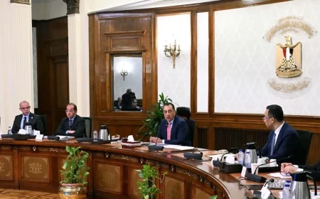 مصر تتوسع في التحول الرقمي لحماية المال العام ورفع كفاءة مؤسسات الدولة