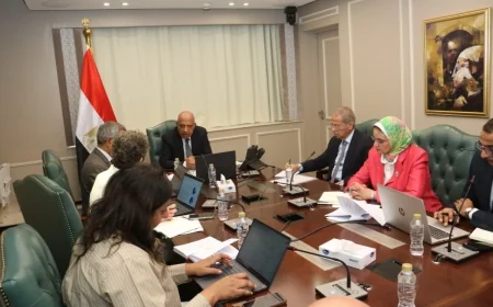 وزير الكهرباء يبحث مع البنك الدولي إنشاء صندوق ضمانة لتمويل مشروعات الطاقة والبنية التحتية