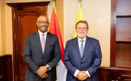 محافظ المركزي المصري يبحث مع نظيره محافظ إسواتيني تعزيز التعاون المصرفي ودعم التكامل المالي الإفريقي
