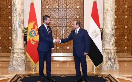الرئيس السيسي ورئيس الجبل الأسود يبحثان تعزيز التعاون الاقتصادي وتوسيع الاستثمارات