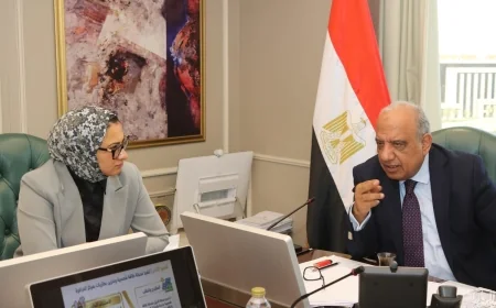 وزير الكهرباء ومحافظ الوادي الجديد يبحثان التوسع في الطاقة الشمسية وتعزيز الشبكة الكهربائية